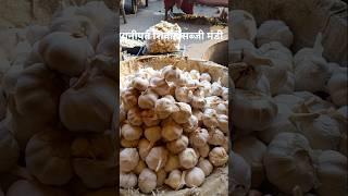 पानीपत शिवाह सब्जी मंडी