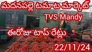 22/11/24 Madanapalle Tomato prices 🍅 మదనపల్లె టమాటా రేట్లు