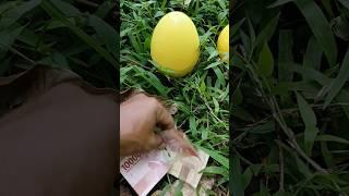 Finding money and eggs