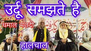 उर्दू समझते है || हालचाल सिवनी ने ए किया कहदिया लोग हैरान है || Halchul Siwani