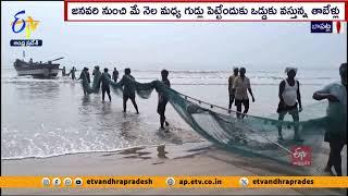 ఆలివ్ రిడ్లే తాబేళ్ల రక్షణకు చర్యలు | Officials Actions for Olive Ridley Turtle Protection | Bapatla