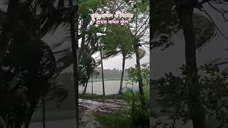 তুমি বাদলও দিনের প্রথম কদম ফুল