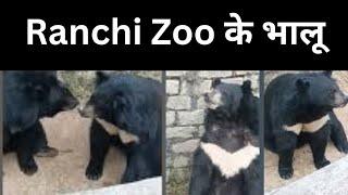 Ranchi Zoo के भालू || Ormanjhi Zoo का शानदार सफर