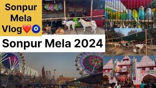 Sonpur Mela 2024 | सोनपुर मेला घुमिये | Dog,Horse Market | Parrot market | travelwithabhi0717