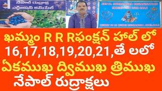 ఖమ్మం R R R ఫంక్షన్ హాల్ లో 16,17,18,19,20,21,తే లలో నేపాల్ రుద్రాక్షలు ఏకముఖ ద్విముఖ 33TVTELUGU