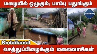 தினமும் செத்துப்பிழைக்கும் மலைவாழ் மக்களின் பரிதாப வாழ்க்கை | Pity the hill dwellers | Kodaikanal