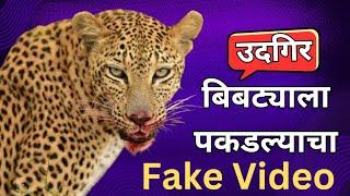 उदगिर येथील बिबट्या पकडल्याचा Fake Video असल्याची वन विभागाची माहिती by photocrimenews