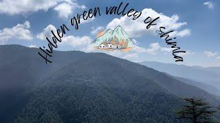 Hidden green of Shimla | Theog | Kufri | Shimla return