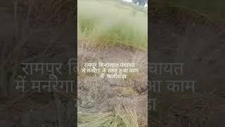 बिहार: सारण जिले के एकमा प्रखण्ड के रामपुर बिन्दालाल पंचायत में मनरेगा के काम में घोटाला।