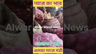 प्याज़ का भाव अलवर मंडी alwar pyaj mandi bhav today