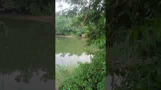 Cauvery near Kumbakonam