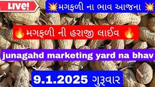 નવી મગફળીના બજાર ભાવ | મગફળીના આજના બજાર ભાવ | જુનાગઢ મગફળીના ભાવ | Junagadh marketing yard 9.1.2025