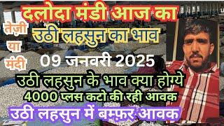 उठी लहसुन के आज के दलोदा मंडी भाव 09/01/2025 ।today uthi lahsun ke bhav | daloda mandi uthi bhav