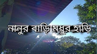 নানুর বাড়ি মধুর হাড়ি