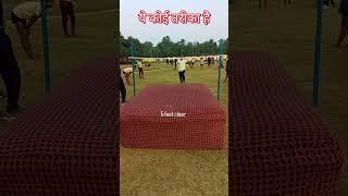 बिहार पुलिस high jump 🦘 5 feet कूद गया लड़का 🫣✅