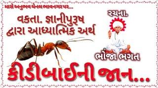 કીડીબાઈની જાન ભોજા ભગત મારો અનુભવ ચેનલ ભાવનગર kidibaini jan maro anubhav chennal bhavnagar