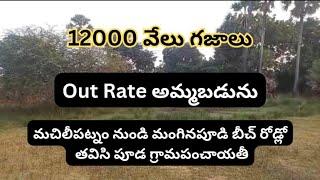 Out Rate కి 12000 గజాలు, అమ్మబడును | మచిలీపట్నం, తవిసి పూడి గ్రామం |