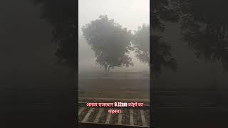 अलवर राजस्थान कोहरे का कहर।