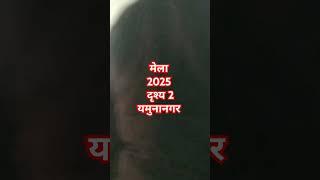 मेला 2025 दृश्य 2 यमुनानगर