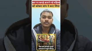 उत्तर प्रदेश के बांदा में एक महिला छत पर कपड़े सुखाने गई।। और वहा बैठे कोबरा सांप ने काट लिया