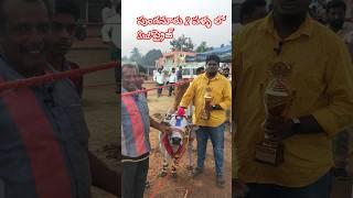 రాష్ట్రస్థాయి పుంగనూరు రెండు పళ్ళ విభాగంలో మూడవ స్థానాన్ని గెలుపొందిన రైతు వారి మాటల్లో