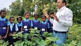 क्षेत्रभेट जि प प्राथमिक शाळा रामपूर पं स घाटंजी जि यवतमाळ