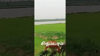 சிதம்பரம்  to கடலூர் 🌱🌿🌳🌲