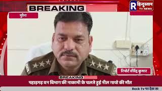 मुरैना | पहाड़गढ़ वन विभाग की नाकामी के चलते हुई नील गायो की मौत Rhindustantvnews