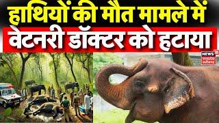 Bandhavgarh Elephant Death News : हाथियों की मौत मामले में एक्शन, Veterinary Doctor को हटाया | MP