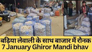 आज का लहसुन का भाव घिरोर मंडी। 7 जनवरी घिरोर मंडी भाव। Today Garlic price