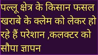 पल्लू क्षेत्र के किसान फसल खराबे के क्लेम को लेकर हो रहे हैं परेशान ,कलक्टर को सौपा ज्ञापन