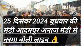 25 दिसंबर 2024 बुधवार की मंडी आदमपुर अनाज मंडी से नरमा बोली लाइव 👌