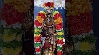 Srirangam அரங்கநாத சுவாமி திருக்கோயில்