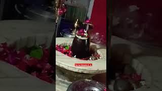 श्री शंकर जी भोलेनाथ मंदिर नेवादा नेरी सीतापुर उत्तर प्रदेश जय श्री राम 🌹🙏