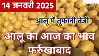 14 January 2025 आलू का आज का भाव फर्रुखाबाद मंडी, Potato price today, Aalu ka aaj ka bhav farrukhaba