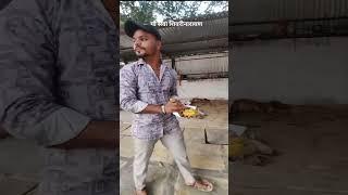 गौ सेवा शिवरीनारायण🙏