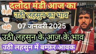 उठी लहसुन आज के भाव दलोदा मंडी 07/01/2025 | uthi lahsun aaj ke daloda mandi bhav | today lahsun bhav