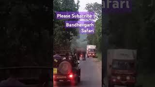 Jungli Elephant Seen in Road ( Bandhavgarh Safari ) #motivation #motivational Shor