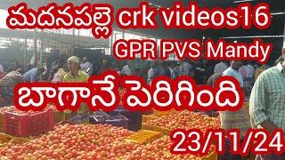 23/11/24 Madanapalle Tomato prices 🍅 మదనపల్లె టమాటా రేట్లు