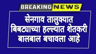 सेनगाव;- हिवरखेडा शिवारात बिबट्याच्या हल्ल्यात शेतकरी बालबाल बचावला आहे