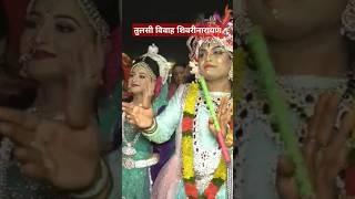 Tulsi Vivah sheorinarayan। तुलसी विवाह शिवरीनारायण 2024