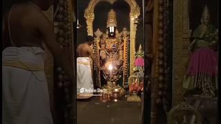 Tirupati Tirumala Sir Balaji Swamy Temple Andhra Pradesh