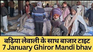 बढ़िया लेवाली के साथ बाजार टाइट। 7जनवरी घिरोर मंडी भाव। Today Garlic price Ghiror Mandi