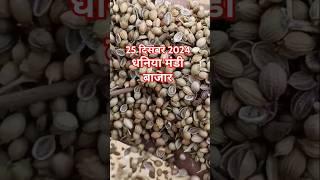 Today dhaniya bajar | 25/12/2024धनिया मंडी बाजार | today coriander bajar |