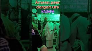 Ameen peer dargah urs/ Badi dargah Sharif urs kadapa