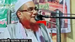 ২০২৪ সালের সেরা ওয়াজ।। হজরত মাওলানা আলী আহমদ ছাহেব হোজাই।। Bagbari Madrassa Assam India