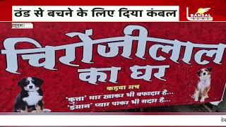 नर्मदापुरम: डॉग लवर ने पेश की मिसाल, घायल डॉग को दिया आशियाना