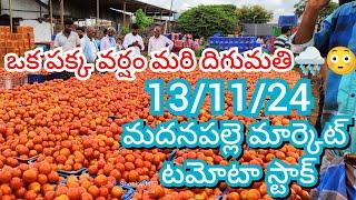 13-11-24 Madanapalle Tomato Market price Today || Today Tomato Market Rate in Madanapalle