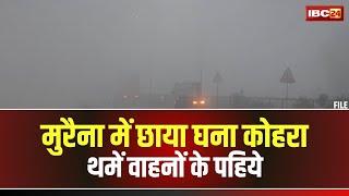 MP Weather Update: मुरैना जिले में छाया घना कोहरा। कम विजिबिलिटी के चलते थमें वाहनों के पहिये। देखिए