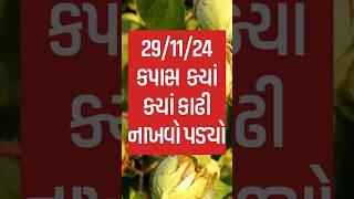 કાઢી નાખ્યો કપાસ| live cotton trading price in BOTAD APMC,kapas Na bhav